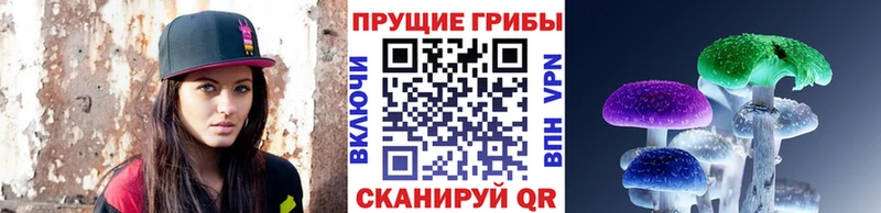 Псилоцибиновые грибы Cubensis  Купить  Ступино 